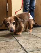 �摜(141x180)�E�g��摜(402x512)