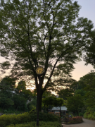 �摜(135x180)�E�g��摜(240x320)