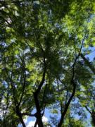 �摜(135x180)�E�g��摜(192x256)