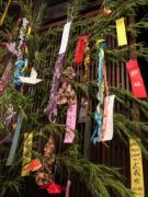 �摜(135x180)�E�g��摜(192x256)