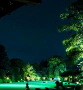 �摜(166x180)�E�g��摜(473x512)