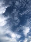 �摜(135x180)�E�g��摜(192x256)