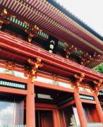 �摜(146x180)�E�g��摜(208x256)