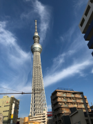 �摜(135x180)�E�g��摜(480x640)