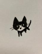 �摜(142x180)�E�g��摜(203x256)