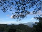 �摜(180x135)�E�g��摜(256x192)