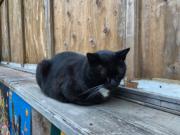 �摜(180x135)�E�g��摜(256x192)