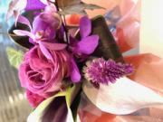 �摜(180x135)�E�g��摜(256x192)