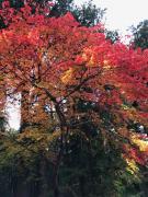 �摜(135x180)�E�g��摜(480x640)