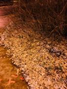 �摜(135x180)�E�g��摜(480x640)