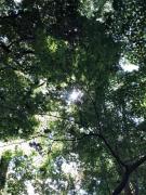 �摜(135x180)�E�g��摜(480x640)