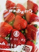 �摜(135x180)�E�g��摜(480x640)