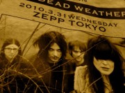 THE DEAD WEATHER