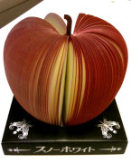 スノーホワイト☆メモ