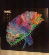MUSE