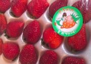 strawberry